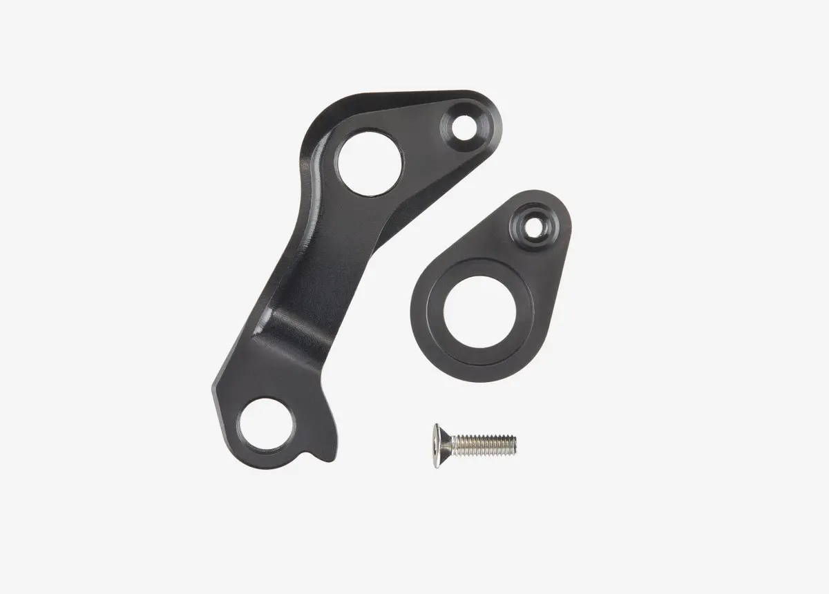 Pinarello Most Derailleur Hanger Thru Axle Disc 1