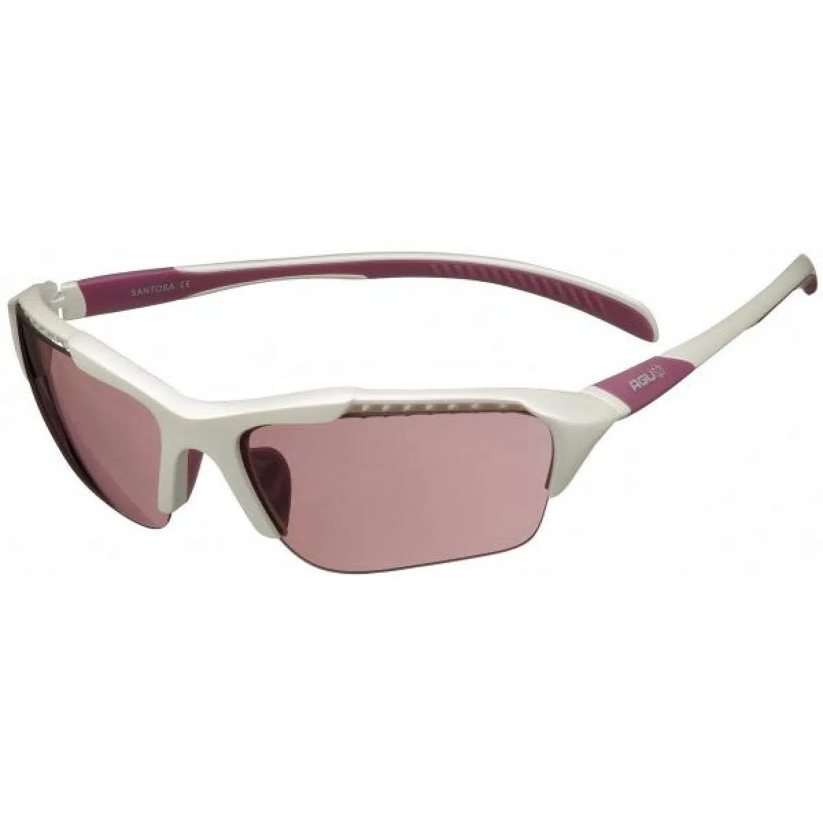 Agu Santosa Sports Glasses 1