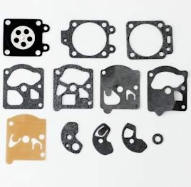 Diaphragm And Gasket Set D10-Wat 1