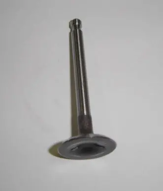 Intake Valve Honda Z50 Oem 1