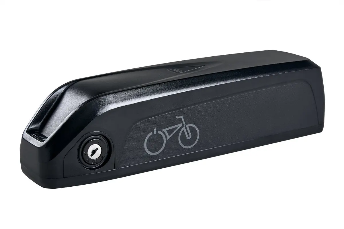 Rad Battery Pack 1