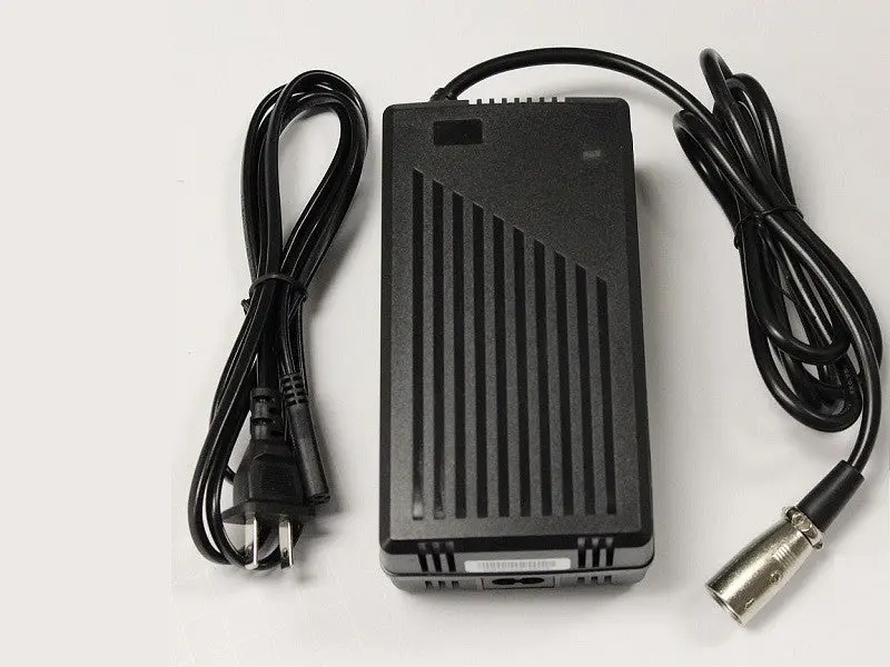 Luggie Lithium Ion 24V Charger 1