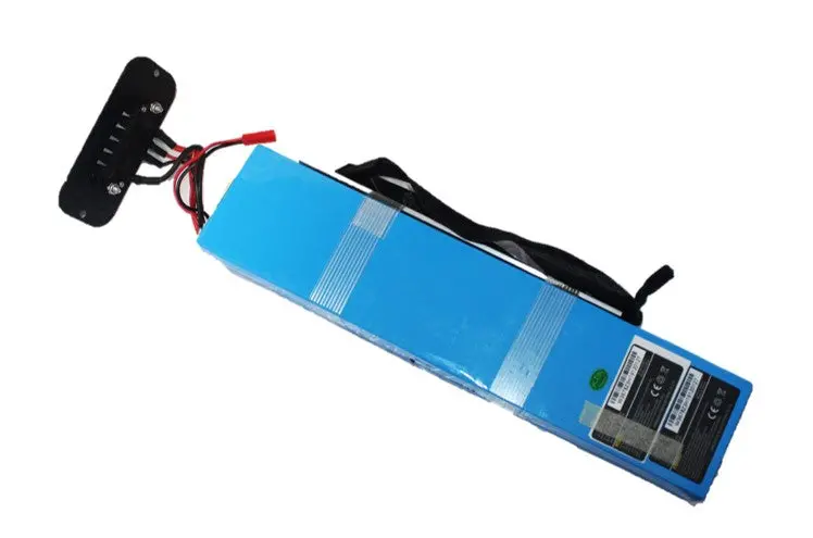 Plug Snake Battery 1