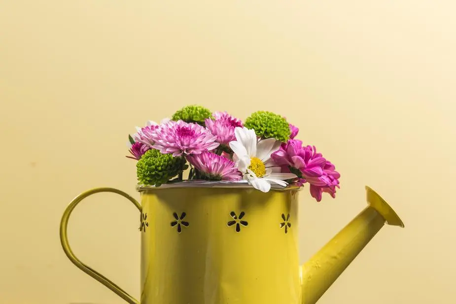 Yellow Watering Can 1
