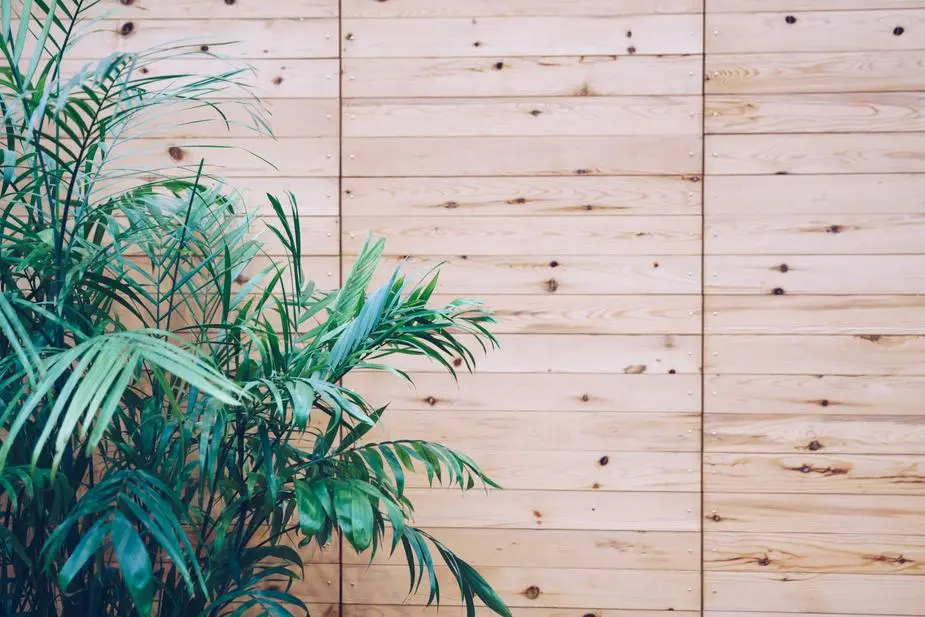 Wooden Outdoor Slats 1