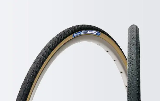 Panaracer Pasela Pro Tite Wire Bead Tire 1