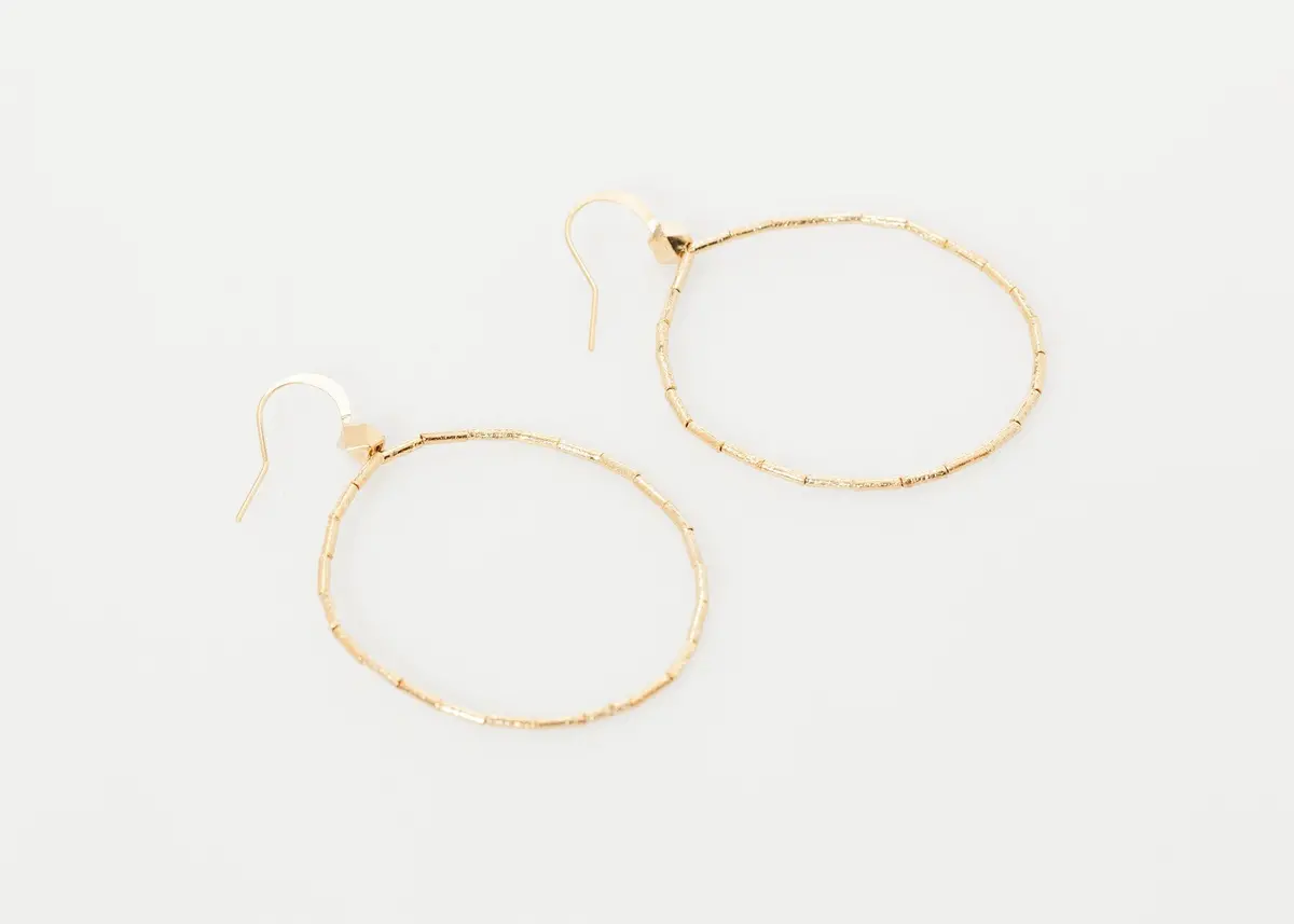 Roberta Hoop Earrings 1