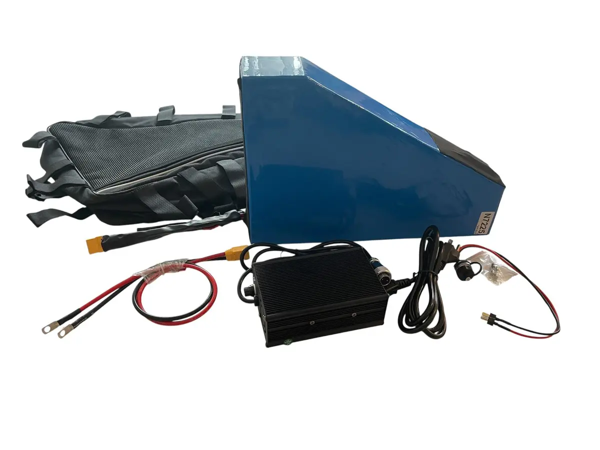 72V 25Ah  Panasonic Lithium Ebike Battery 1